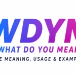 wdym-meaning