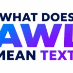 what-does-awl-mean-text