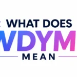 what-does-wdym-mean