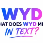 what-does-wyd-mean-in-text