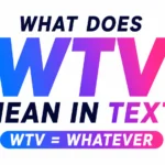what-wtv-mean-in-text