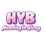 hyb-meaning-slang