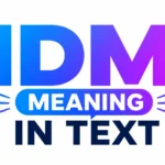 idm-meaning-text