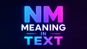 nm-meaning-text