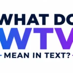 what-do-wtv-mean-in-text