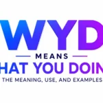 what-does-wyd-mean