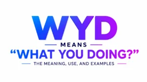 what-does-wyd-mean